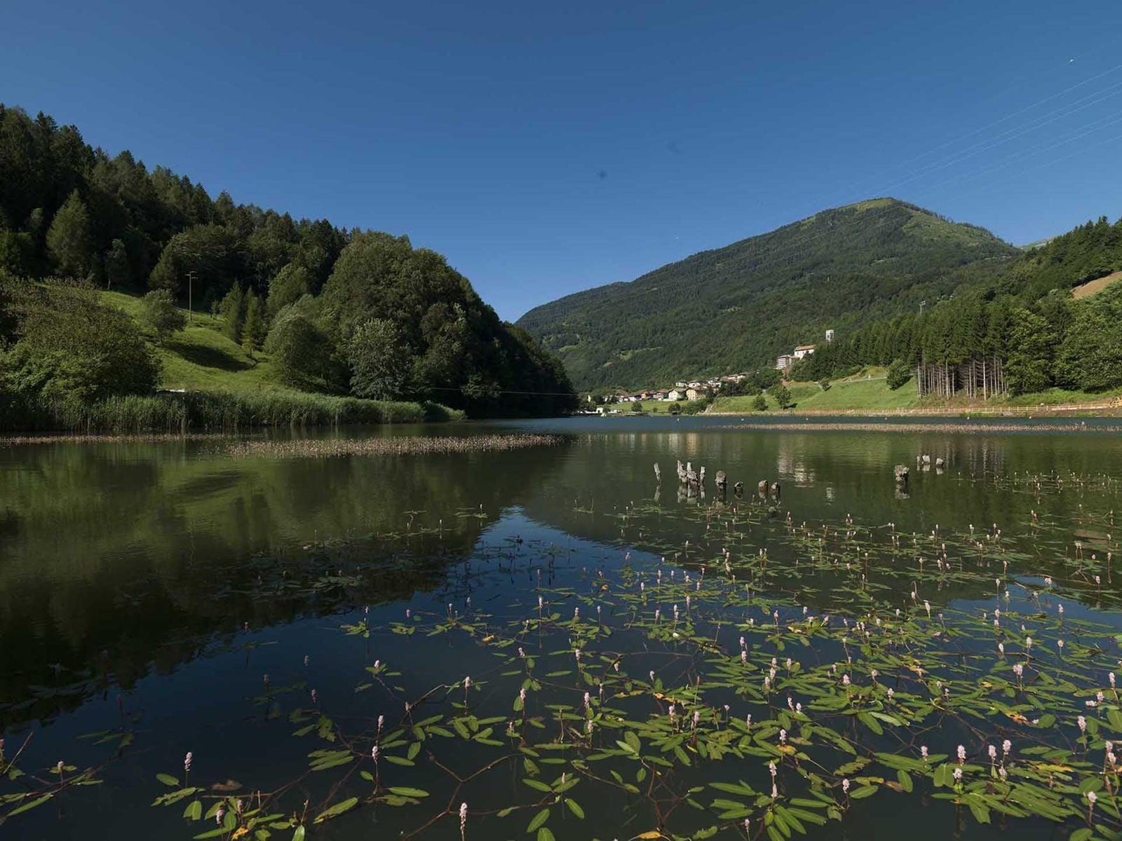 Green Hotel Genzianella Gebiet